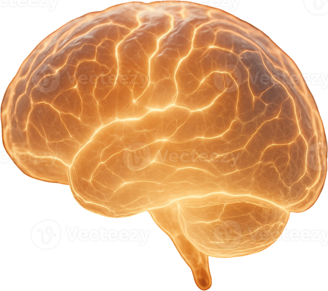 Translucent brain illuminated by pulsating neural connections png