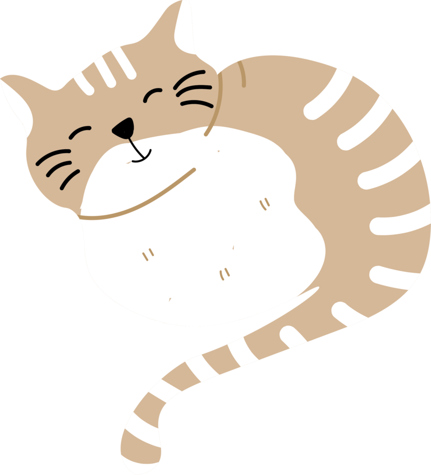 Fluffy Cat Relaxing on a Cozy Cat Day png