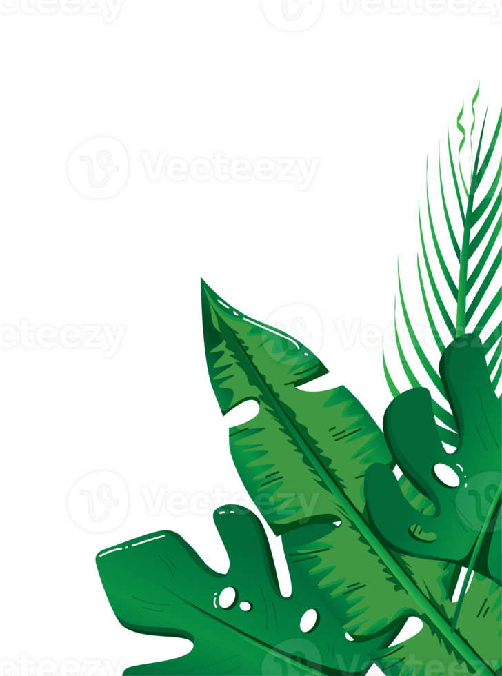 Greenery Corner Frame with Exotic Monstera and Banana Leaf Arrangement png