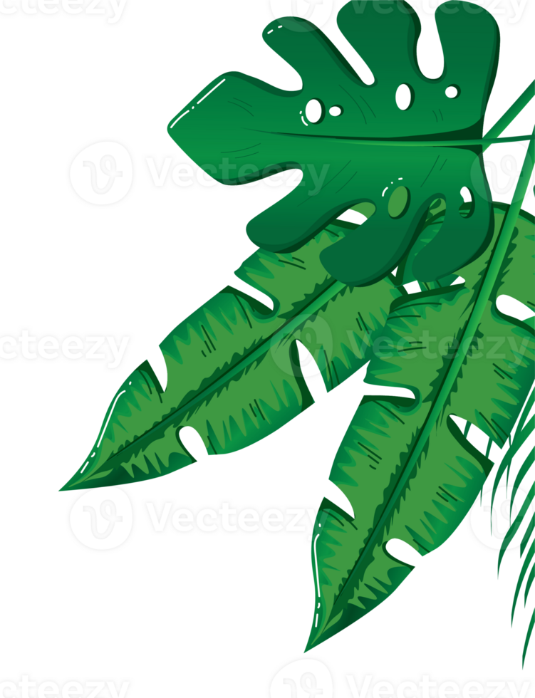 Tropical Corner Border Design Featuring Monstera and Banana Leaves png