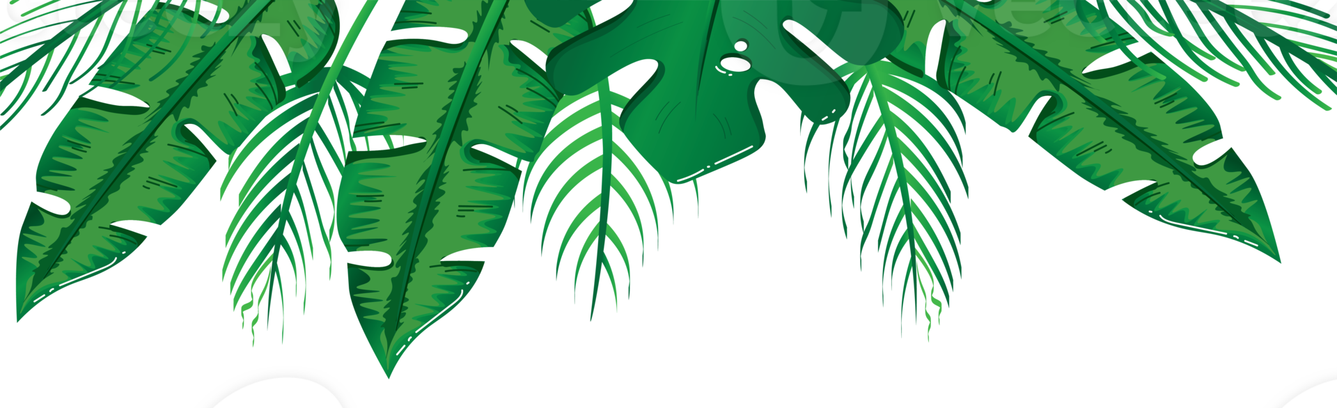 Green Botanical Border Featuring Monstera and Banana Leaf png
