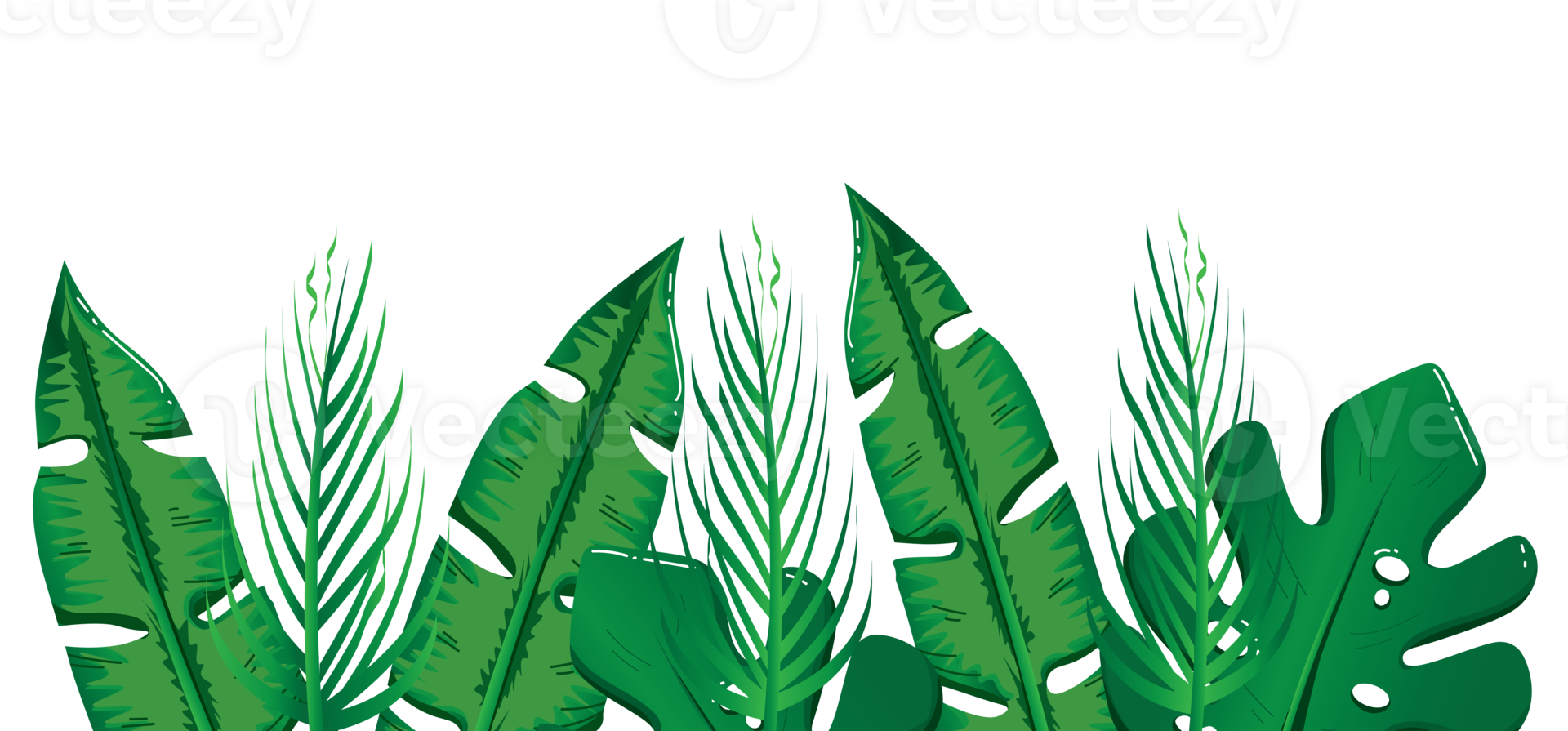 Tropical Leaf Arrangement Frame with Monstera and Banana Leaves png