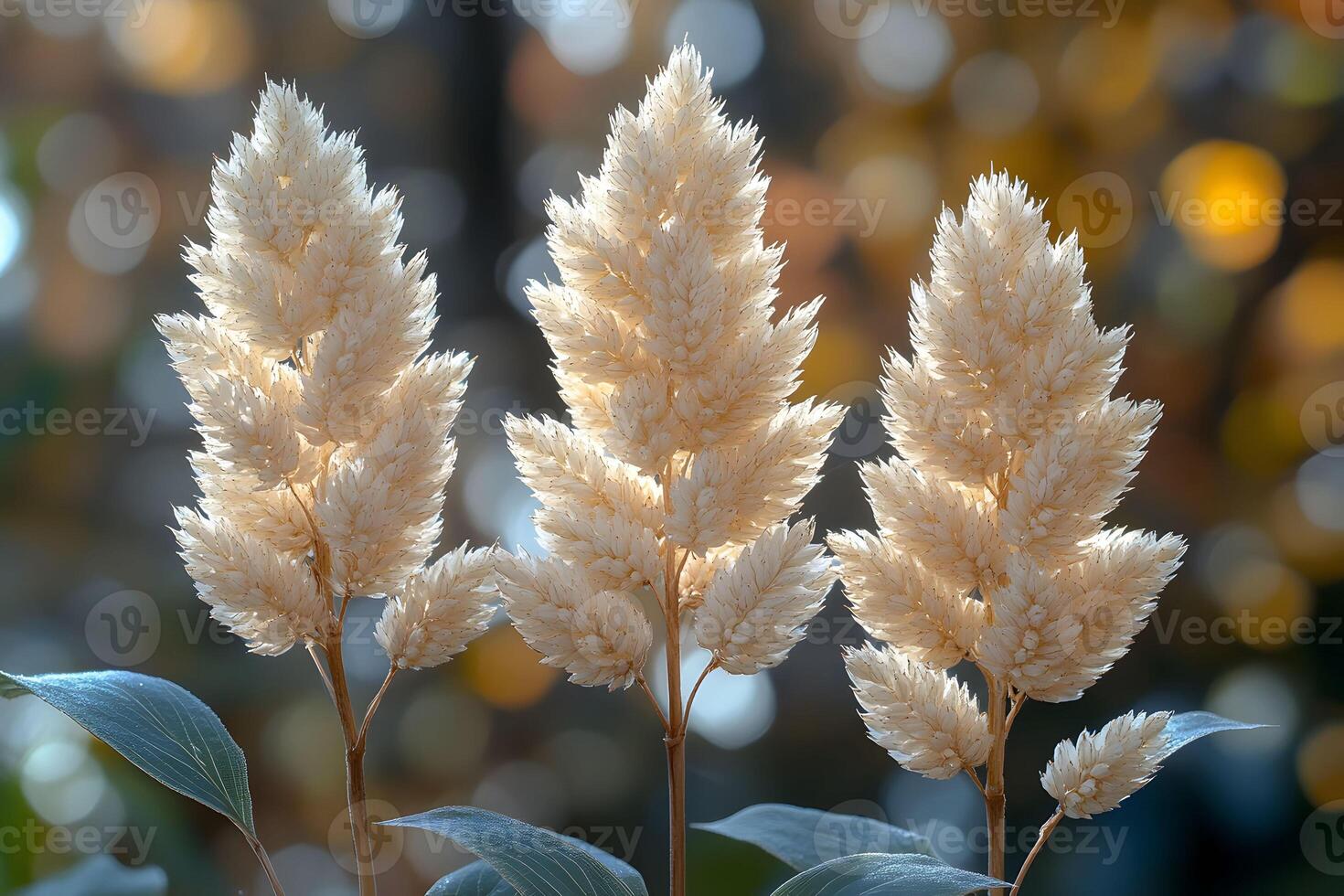 Autumn Foliage Trio with Golden Sunlit Bokeh for Nature Photography and Seasonal Decor photo