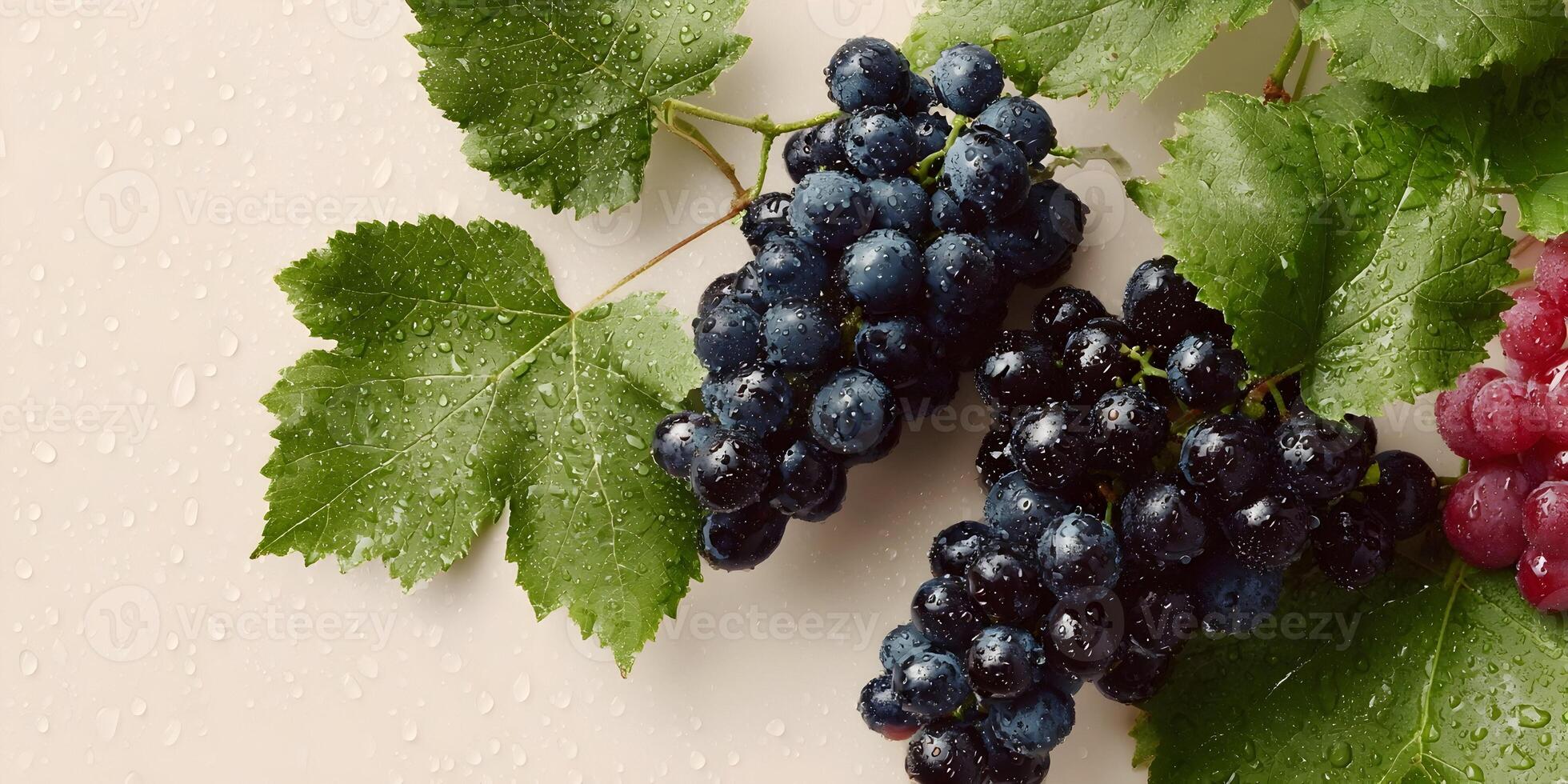 Fresh Juicy Red and Dark Grapes with Green Leaves and Water Drops photo