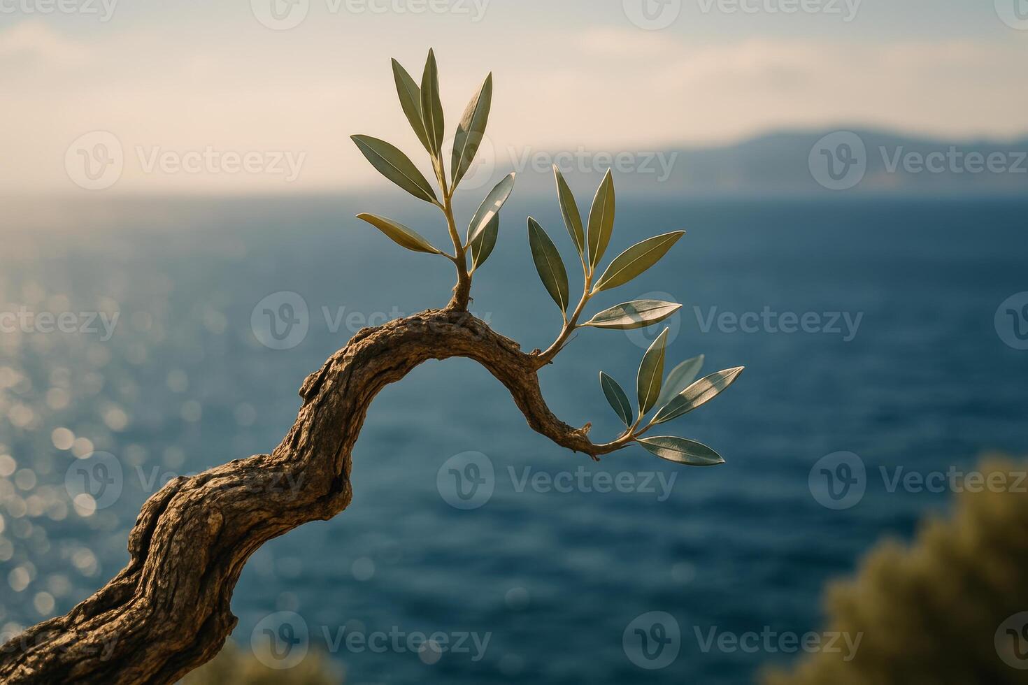 Close up of a gnarled ancient olive tree branch with fresh leaves overlooking the blue sea. photo