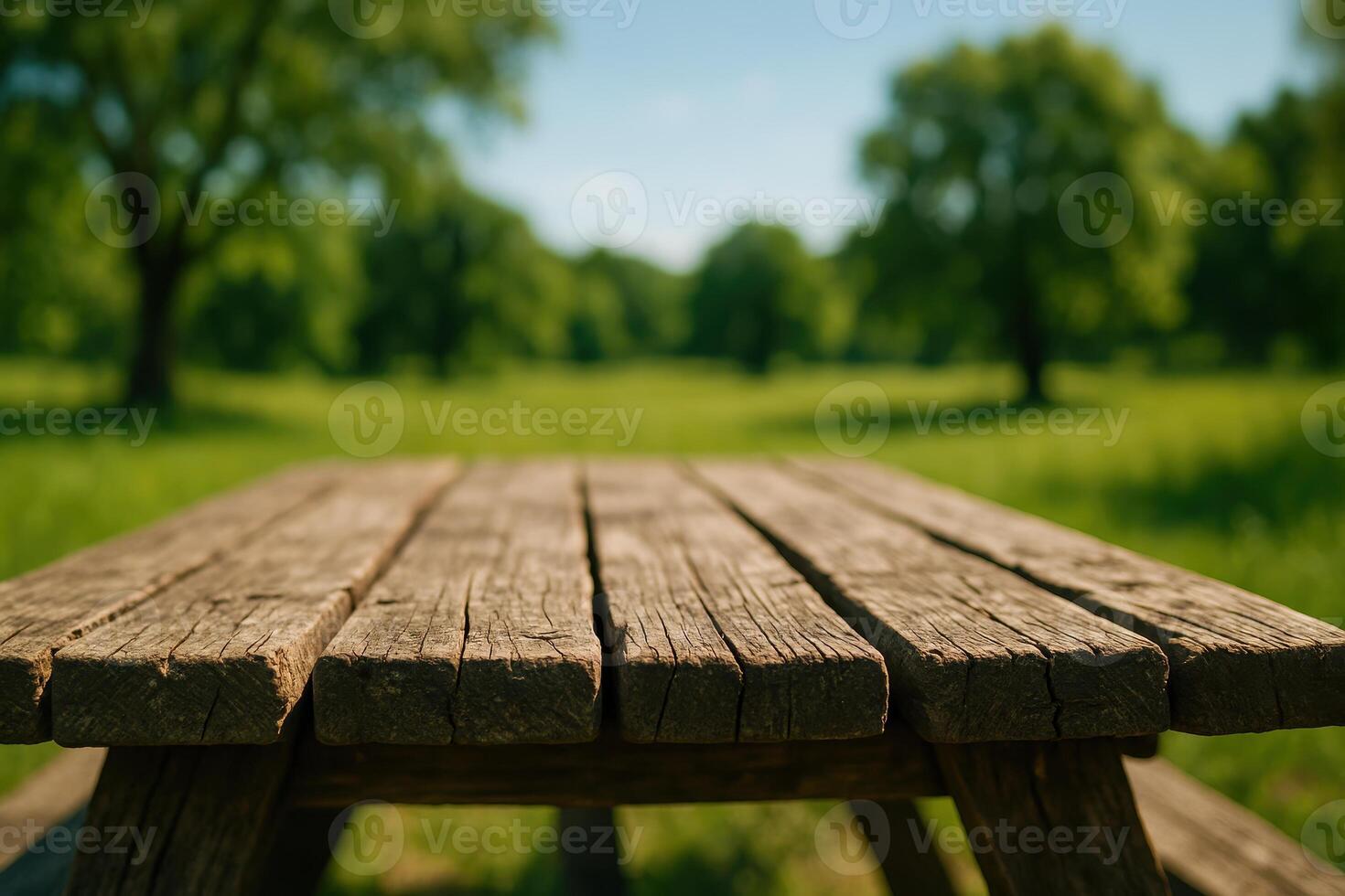 Empty weathered wooden picnic table in a sunny green park landscape photo