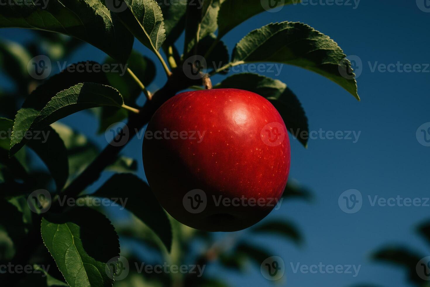 Vibrant red apple on a tree branch with lush green leaves under a clear blue sky photo