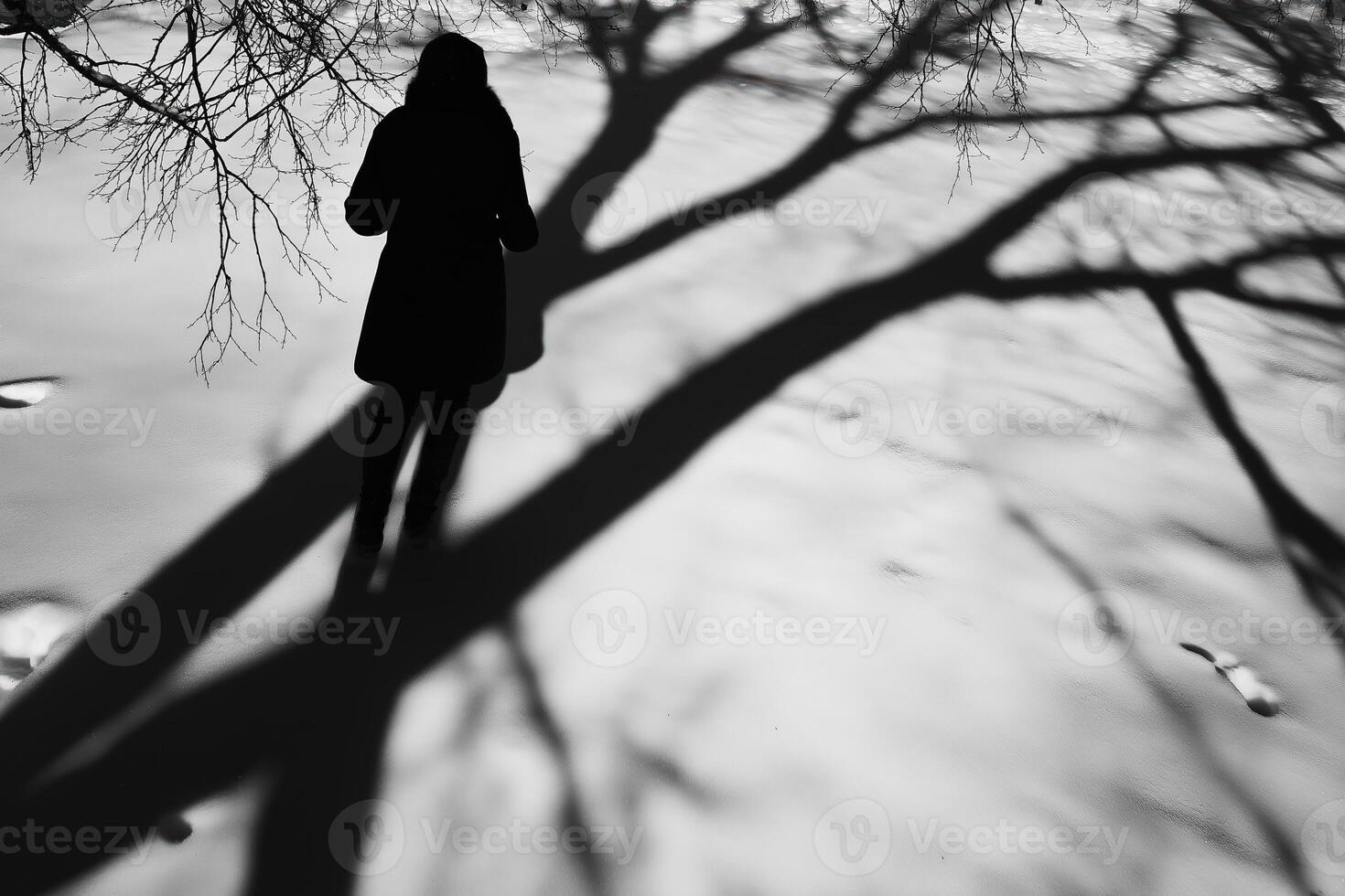 Woman walking in snow with long shadows from trees photo