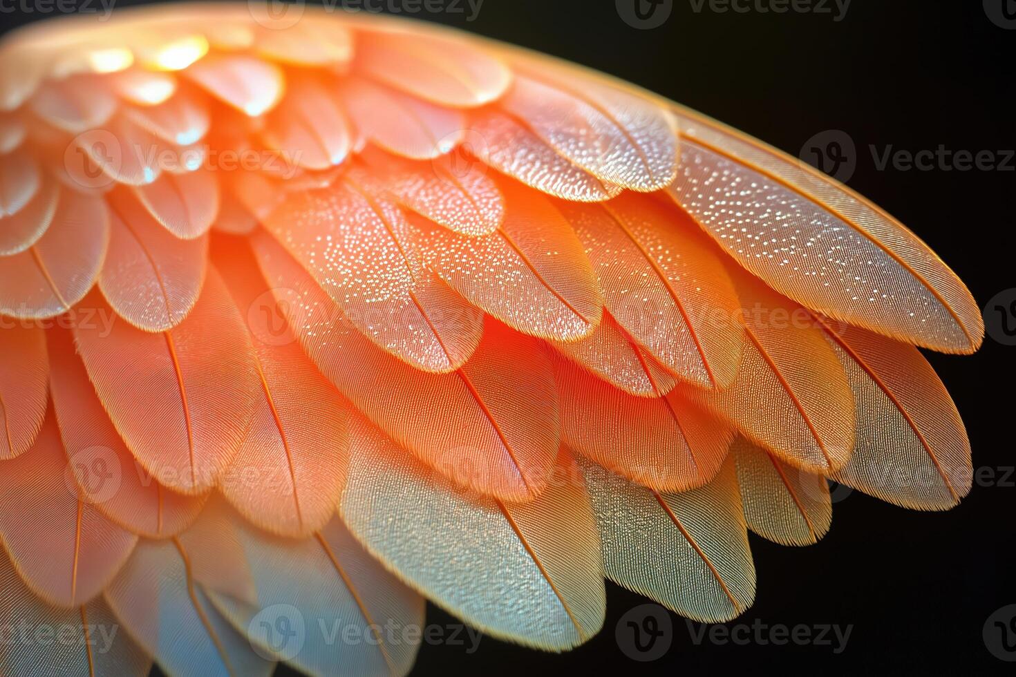 Vibrant orange bird feathers creating stunning visual symphony photo