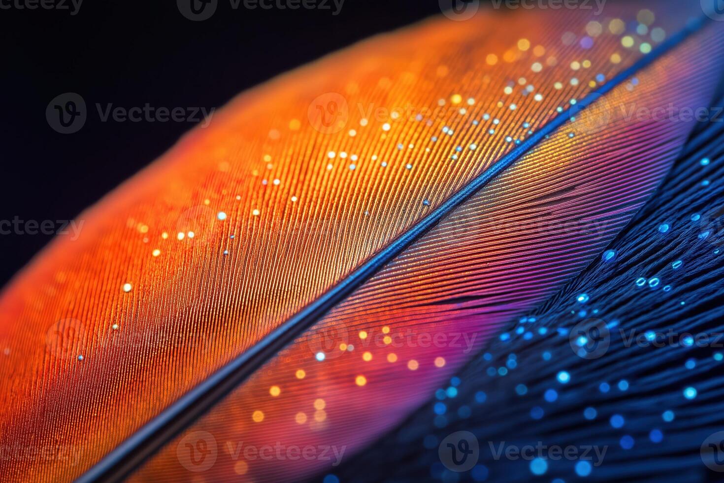Macro View of Colorful Feather Sparkling with Dew photo