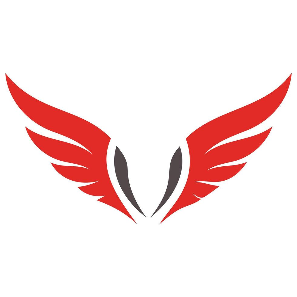 Ethereal Feathered Wing Illustrations vector