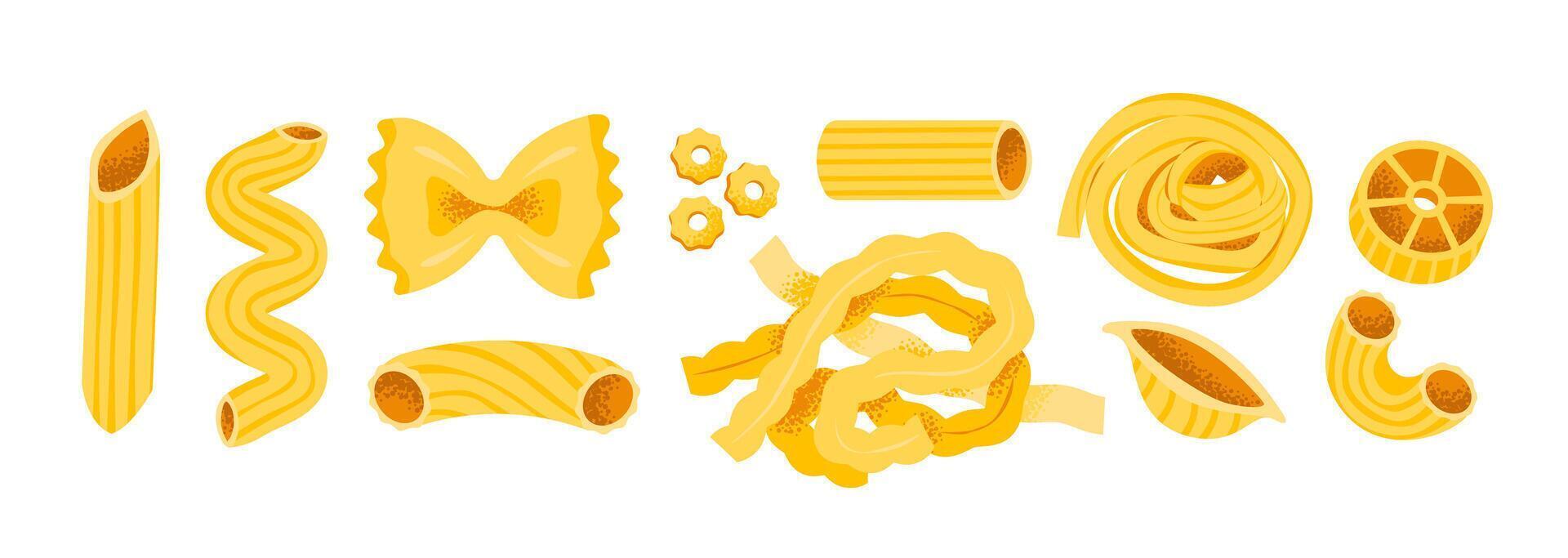 Different pasta shapes on a white background vector