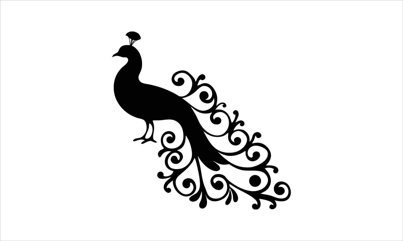 Elegant peacock silhouette ornate tail feathers vector