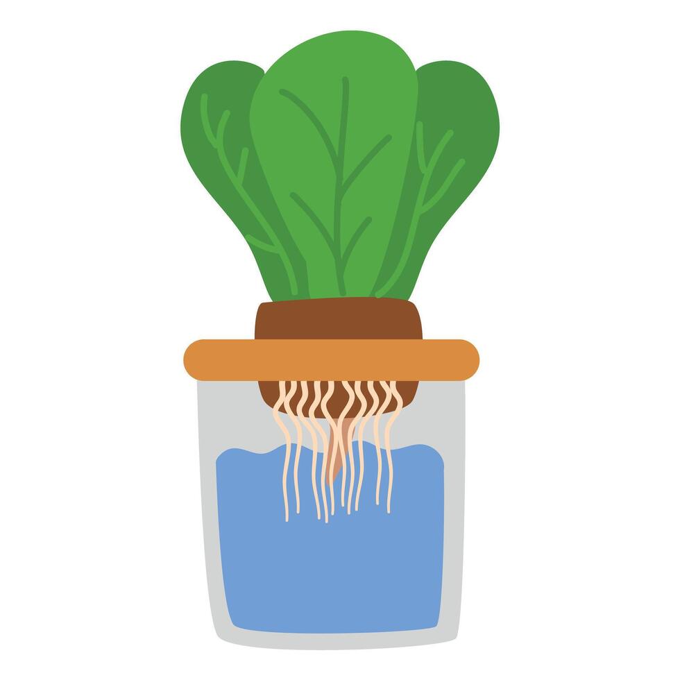 Kratky metode hydroponic vector