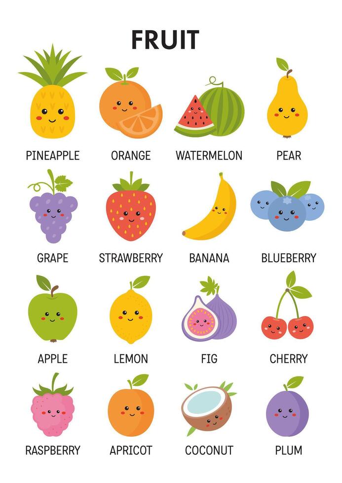 Colorful cartoon fruit illustrations vector