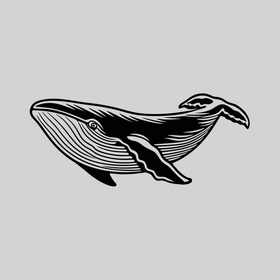 Blue Whale Capturing Natures Largest Mammal vector