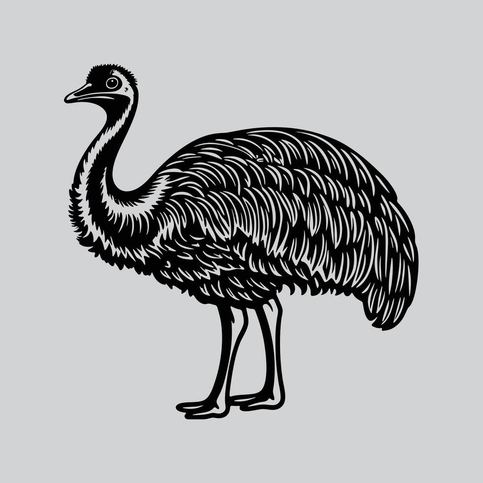 Bird in Nature Grassland Scene vector