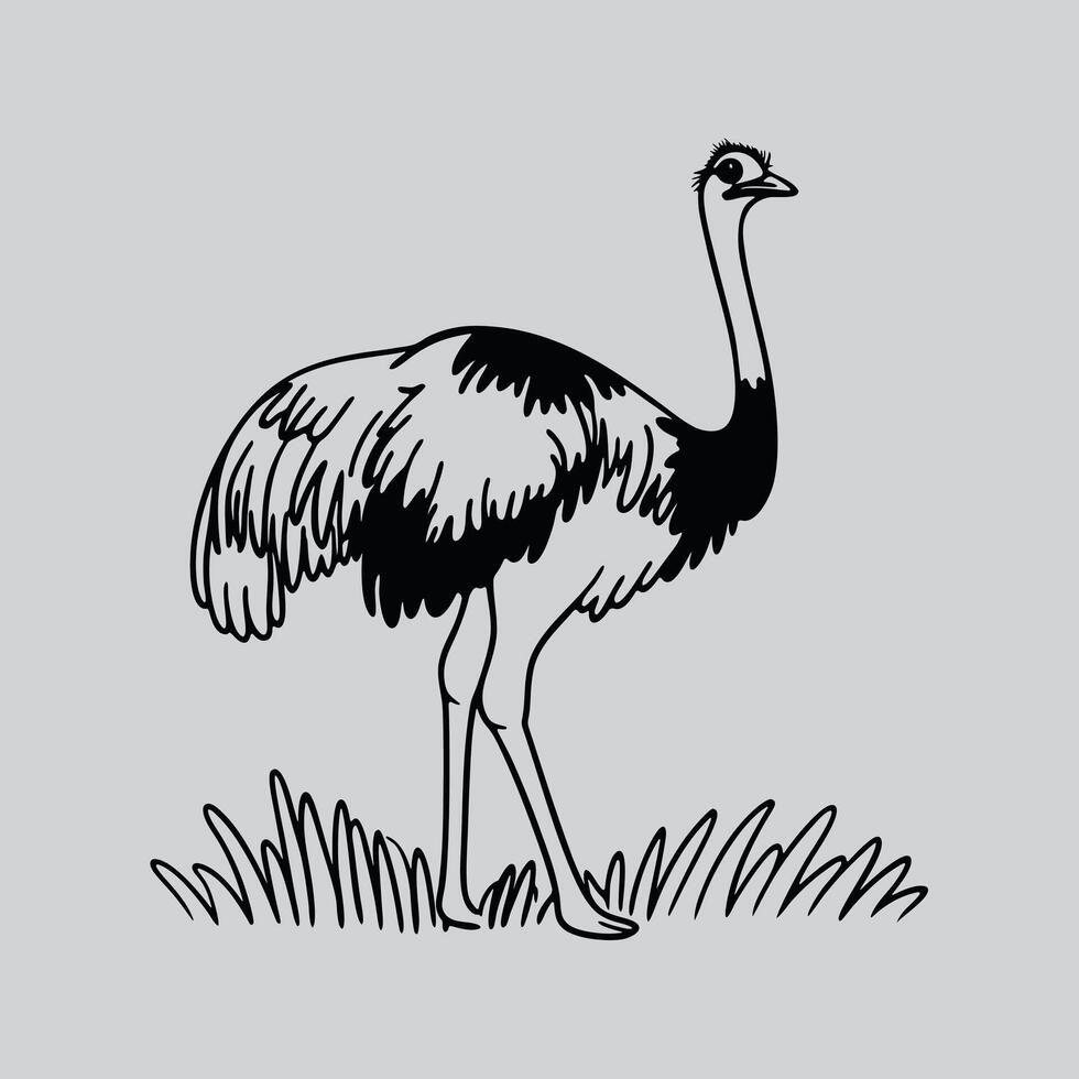 Walking Ostrich Art vector