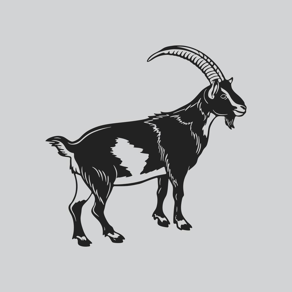Standing Goat with Curved Horn vector