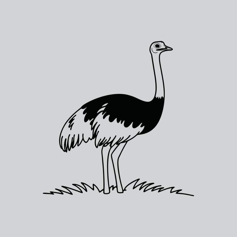 Elegant Ostrich in Grass Drawing vector
