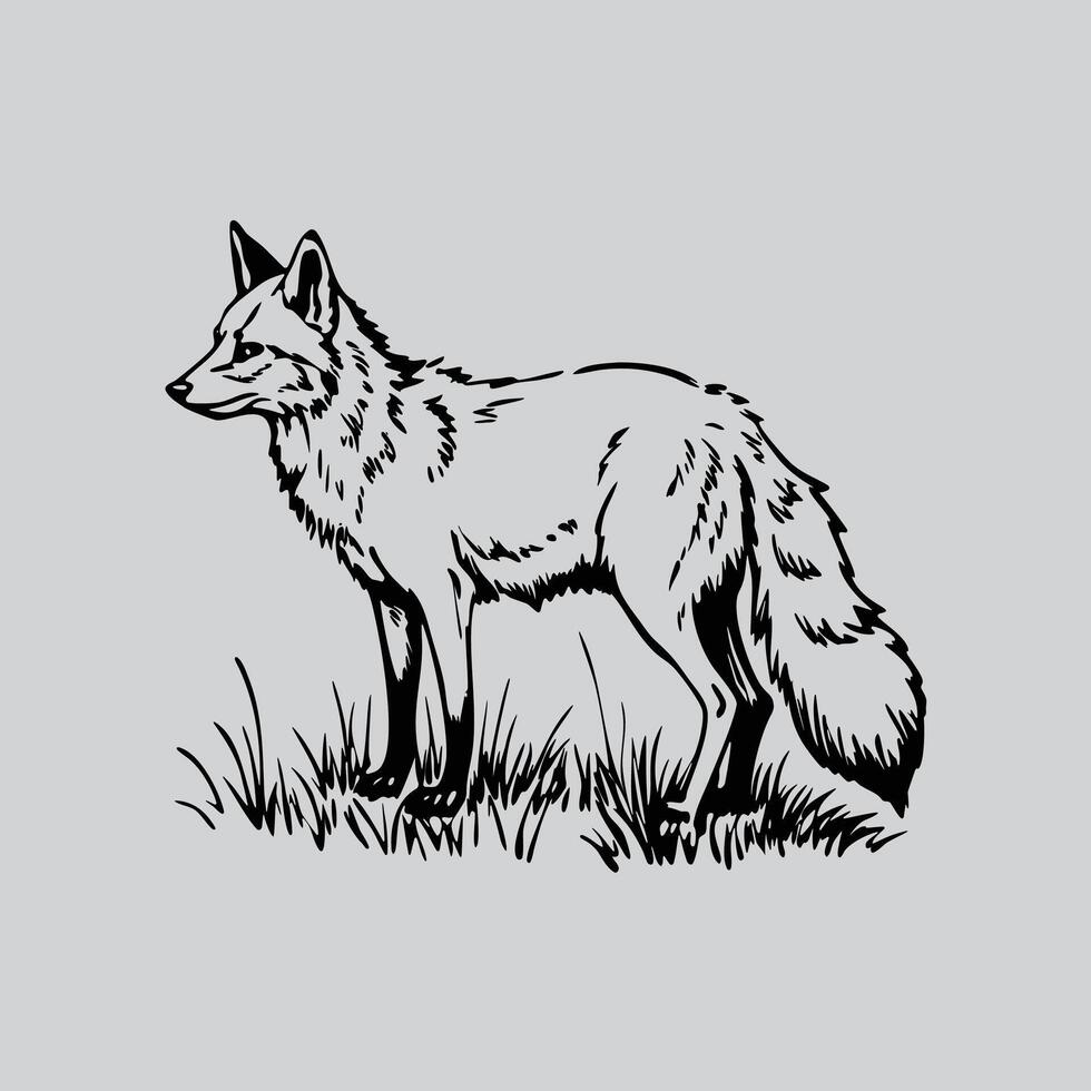 Detailed Fox Drawing in Grass vector