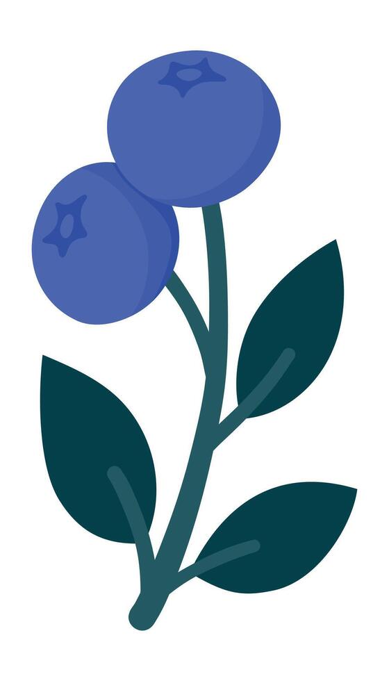 Cute Blueberry Branch with Ripe Berries and Leaves. Hand Drawn Botanical Illustration for Packaging, Kitchen Decor, Stickers, Labels, Logos, Farmers Market or Food Branding vector
