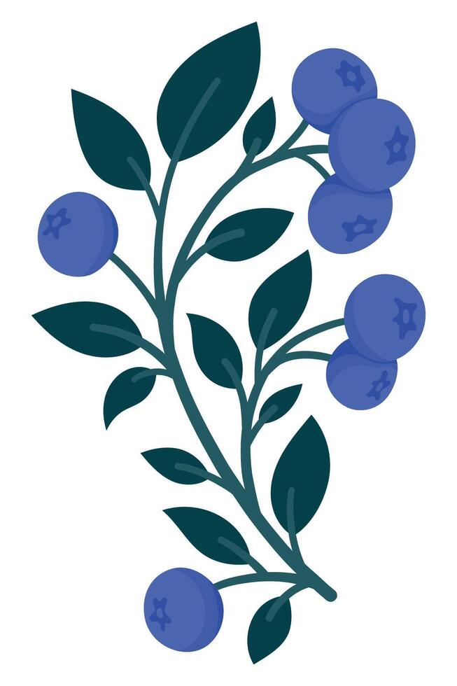 Hand Drawn Blueberry Branch with Ripe Berries and Leaves. Cute Botanical Illustration for Stickers, Packaging, Kitchen Decor, Labels, Logos, Farmers Market or Food Branding vector
