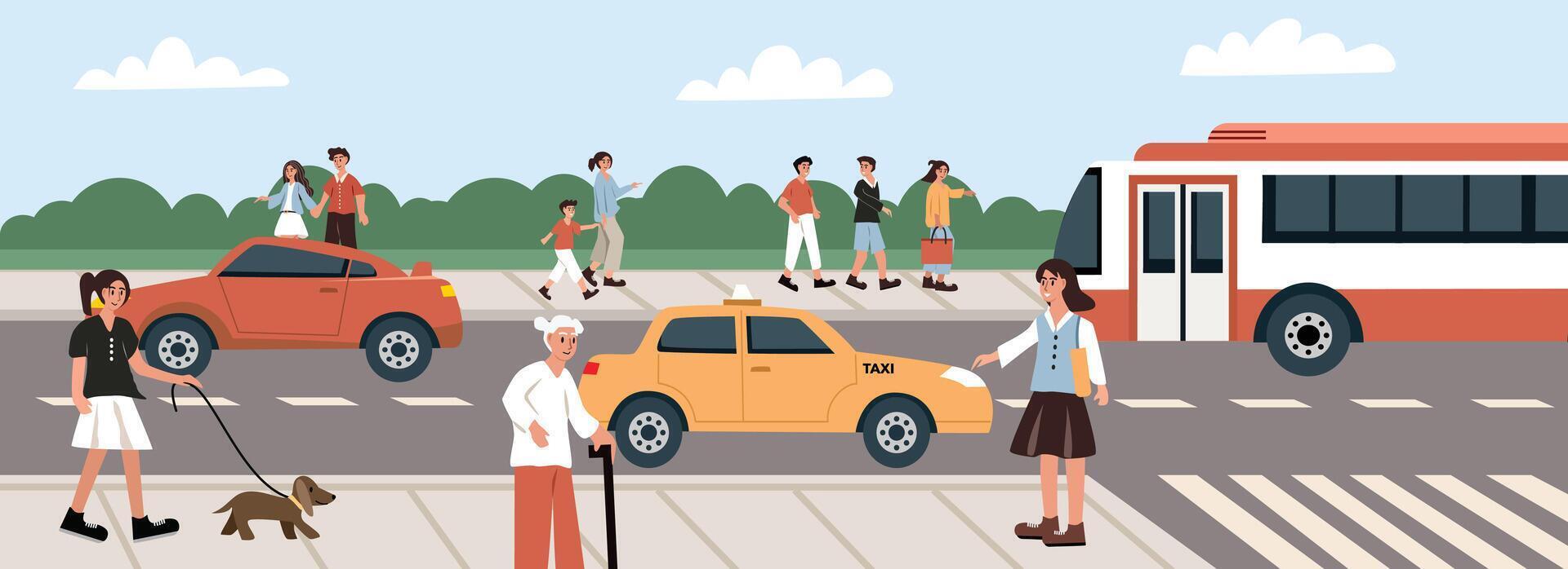 People at the sidewalk. Urban pedestrian. People stop taxi. People stop bus. Public transportation. Car and bus on the street. vector