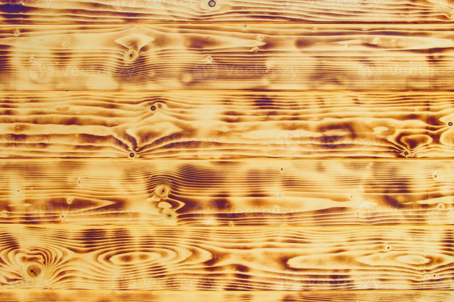 Woodland Memory Patterns of the Past photo
