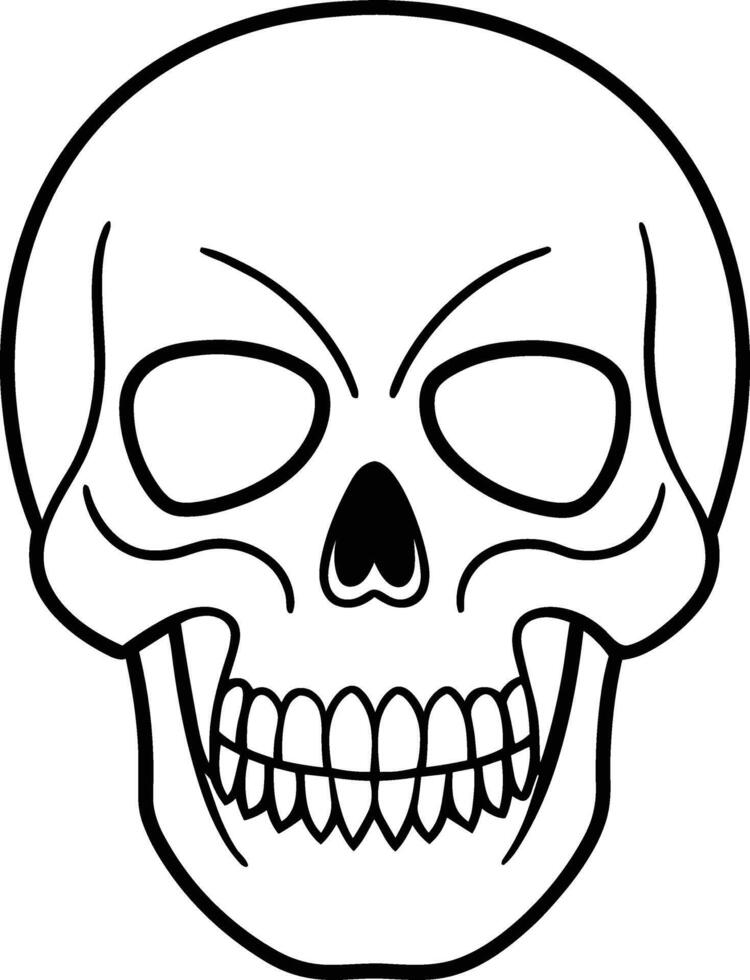 Skull Line Art - Detailed Human Skull Illustration vector