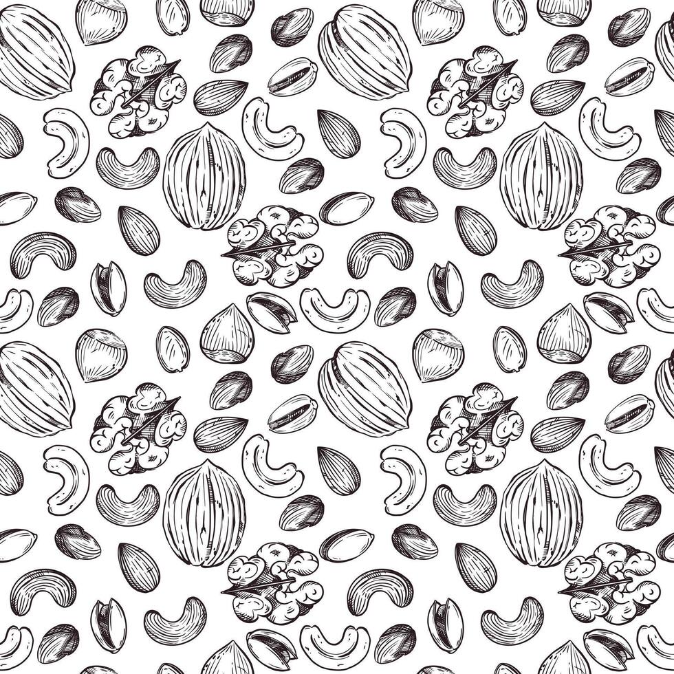 Seamless pattern. Nuts, walnuts, hazelnuts, cashews, almonds, and pistachios, all objects are hand-drawn in . For printing on fabric, paper, for food packaging design vector