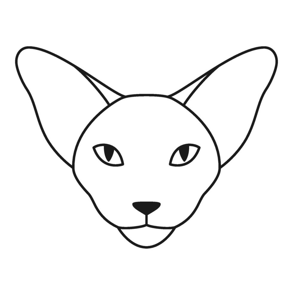 Oriental shorthair cat or Sphynx cat head in outline style. Front view. vector