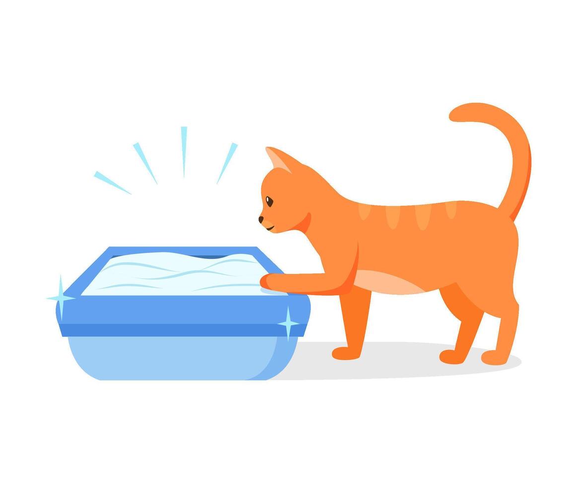 Cat using clean litter box. Right way to maintain cat toilet. Pet toilet hygiene concept. illustration vector