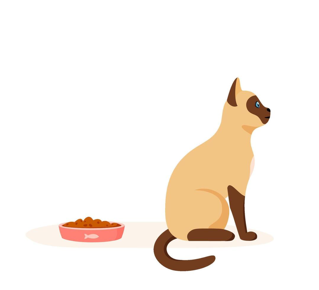 Pet refuses to eat food in bowl. Siamese domestic cat being selective and persnickety. Pet not eating kibble or wet food. Feeding pet problem. Flat style vector
