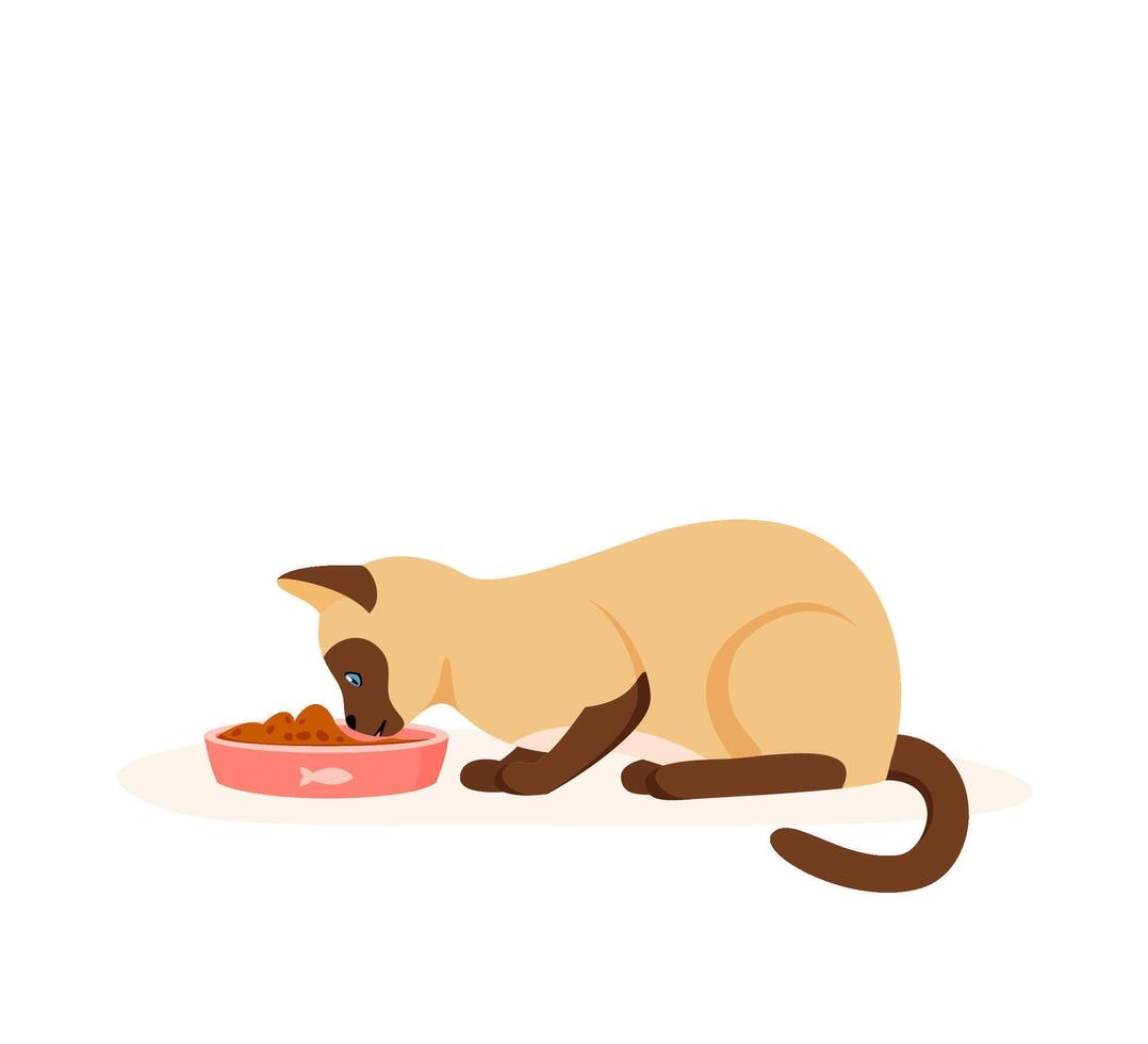 Hungry cat eating food from bowl. Siamese domestic cat having good appetite. Feeding pet with kibble or wet food. Flat style vector