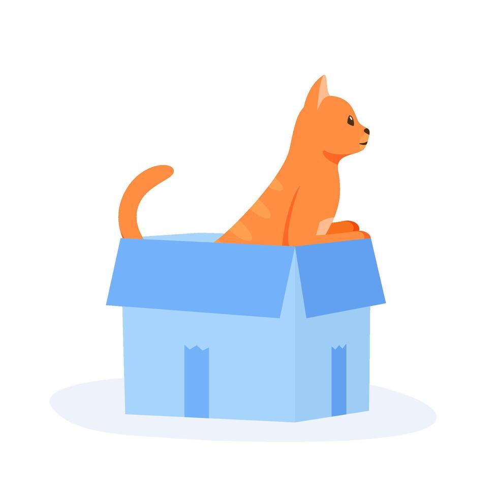 Ginger cat sits in box. Cute indoor pet plays in . Hiding and resting place for fluffy fiend vector