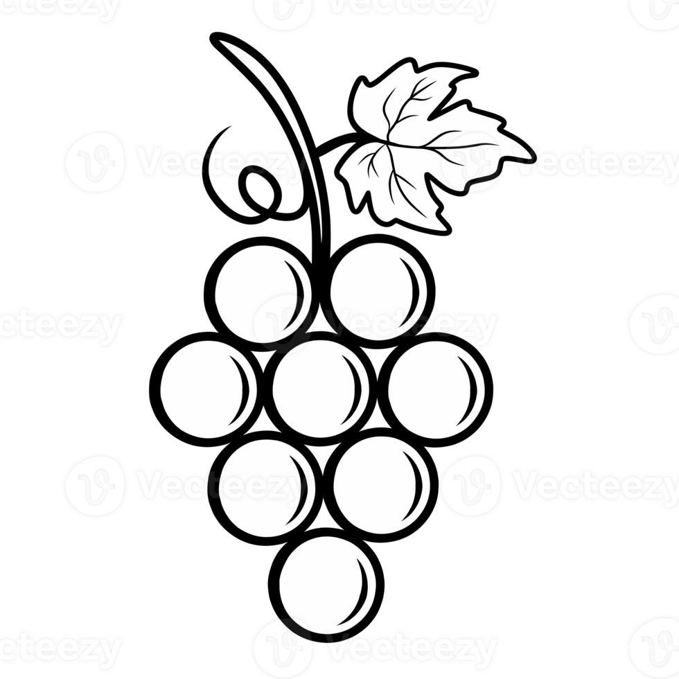 Line illustration of grapes png