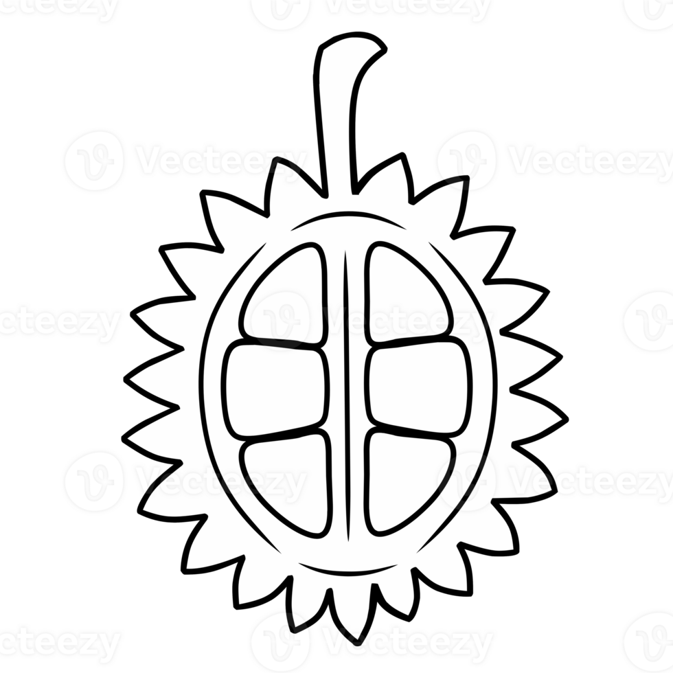 Line illustration of a durian png