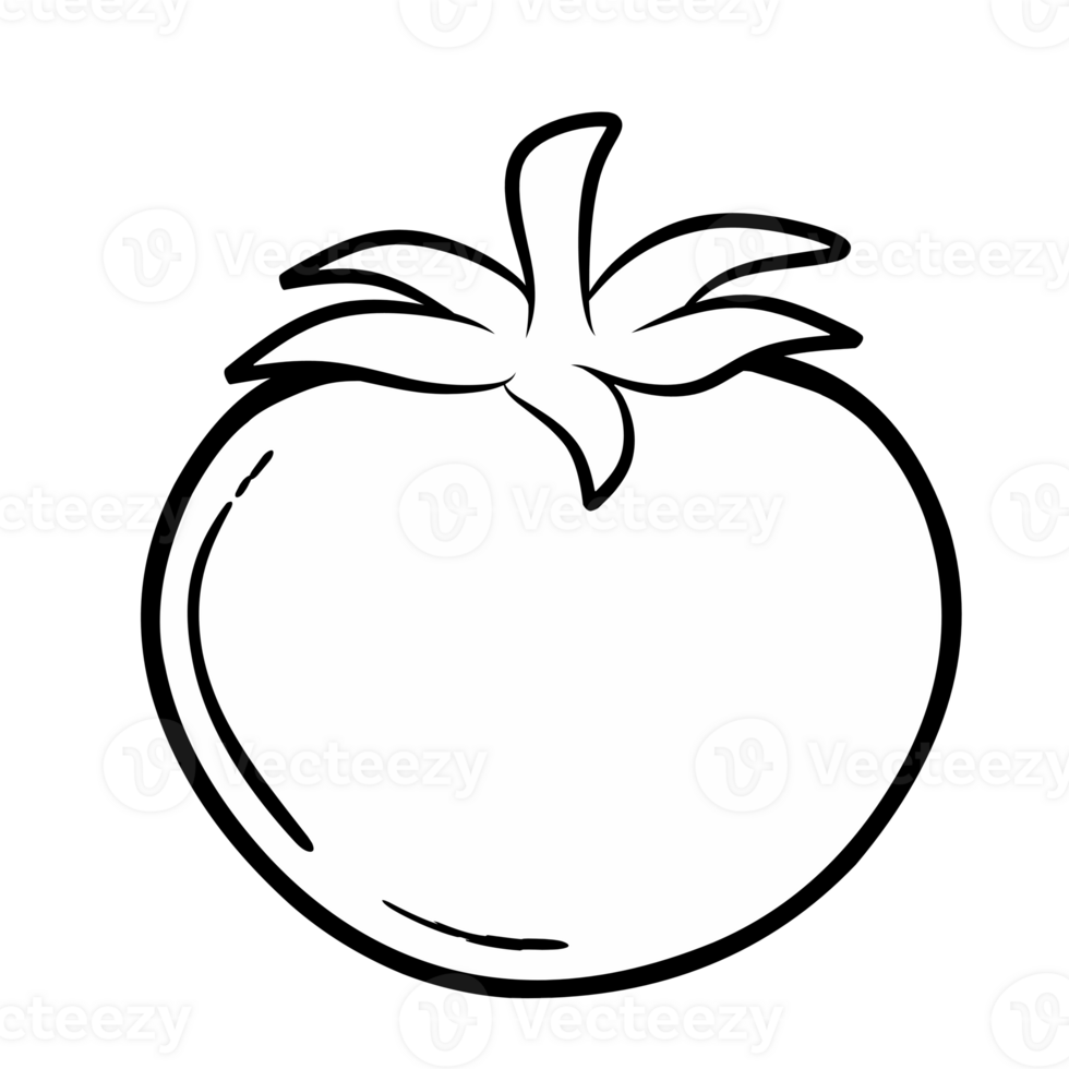 Line tomato isolated on white png