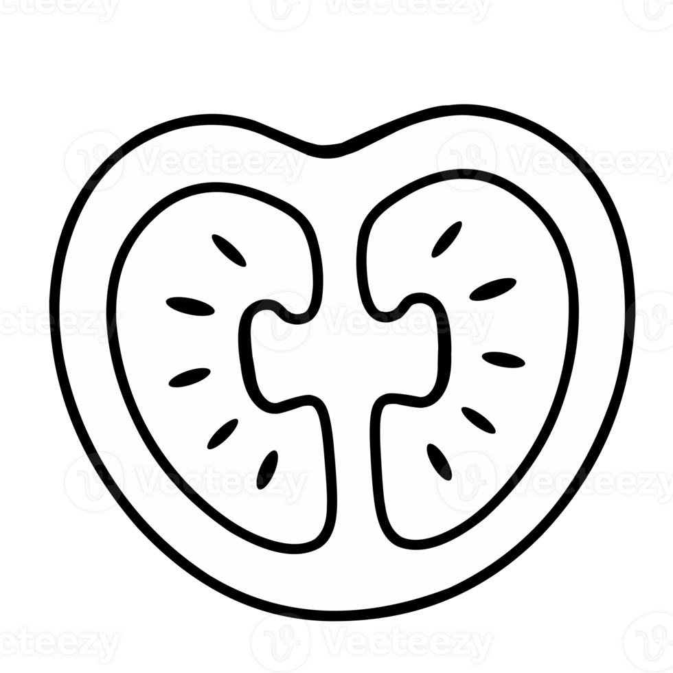 Line tomato isolated png