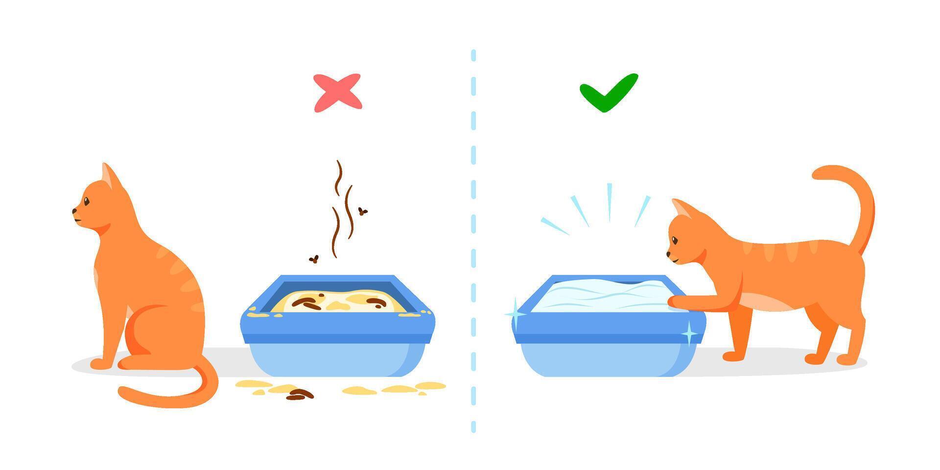 Dirty and clean cat litter box. Wrong and right way to maintain pet toilet. Pet toilet hygiene concept. illustration vector