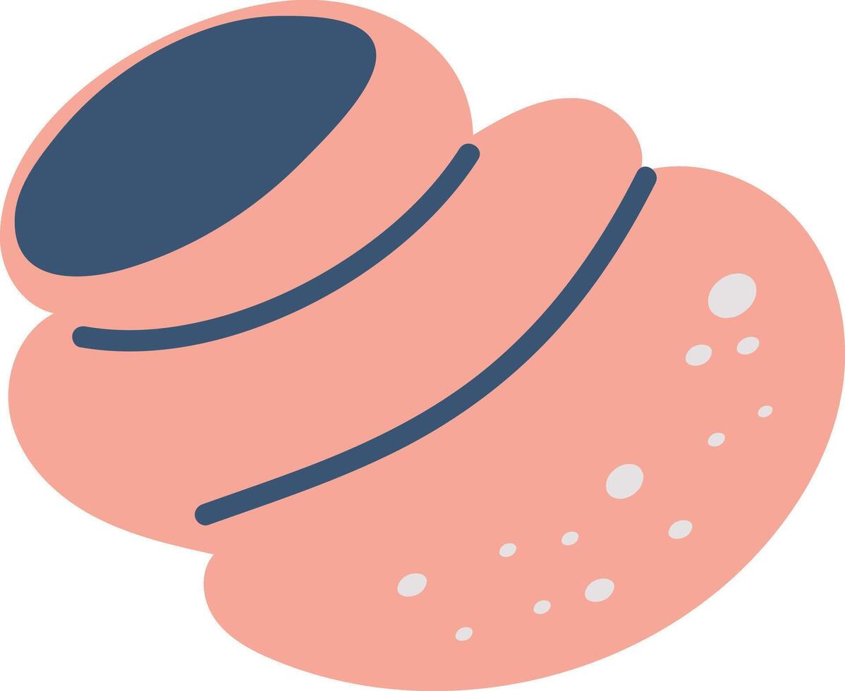 Cartoon seashell illustration in a vibrant summer beach style. Hand-drawn of spiral shells, clams, and marine elements, ideal for tropical designs, underwater themes, vector