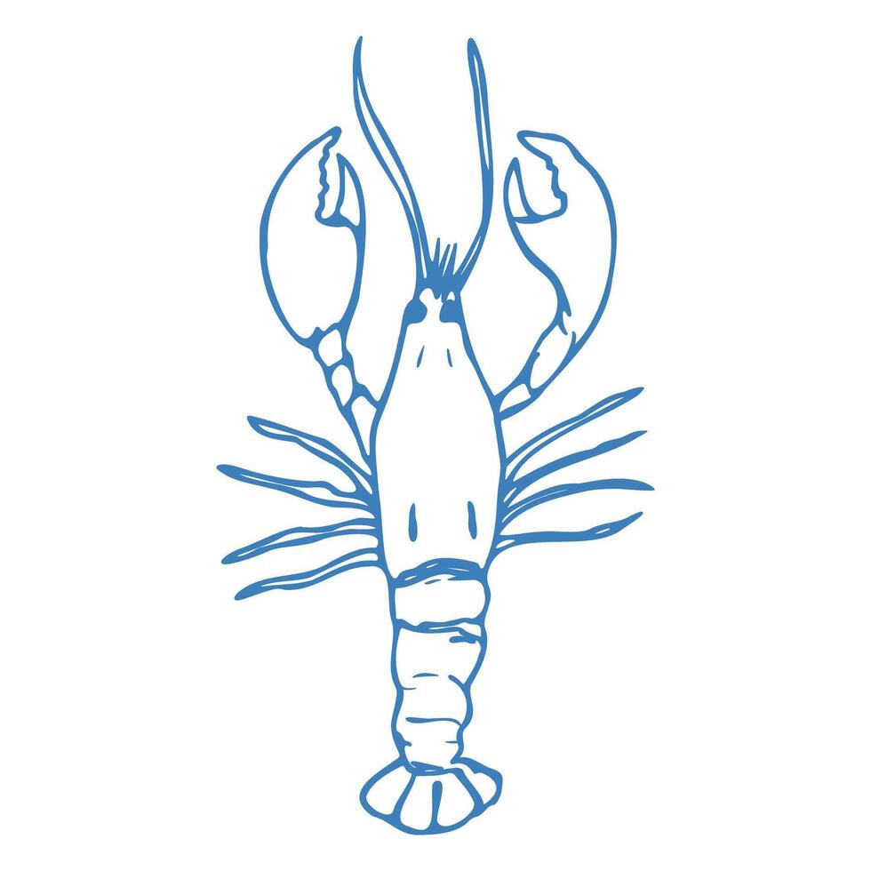 Hand drawn lobster in doodle style. Mediterranean blue summer icon, element for italian menu, wedding, print, invitation. Ink sketch design of summer beach. Flat tropical minimalist illustratio vector