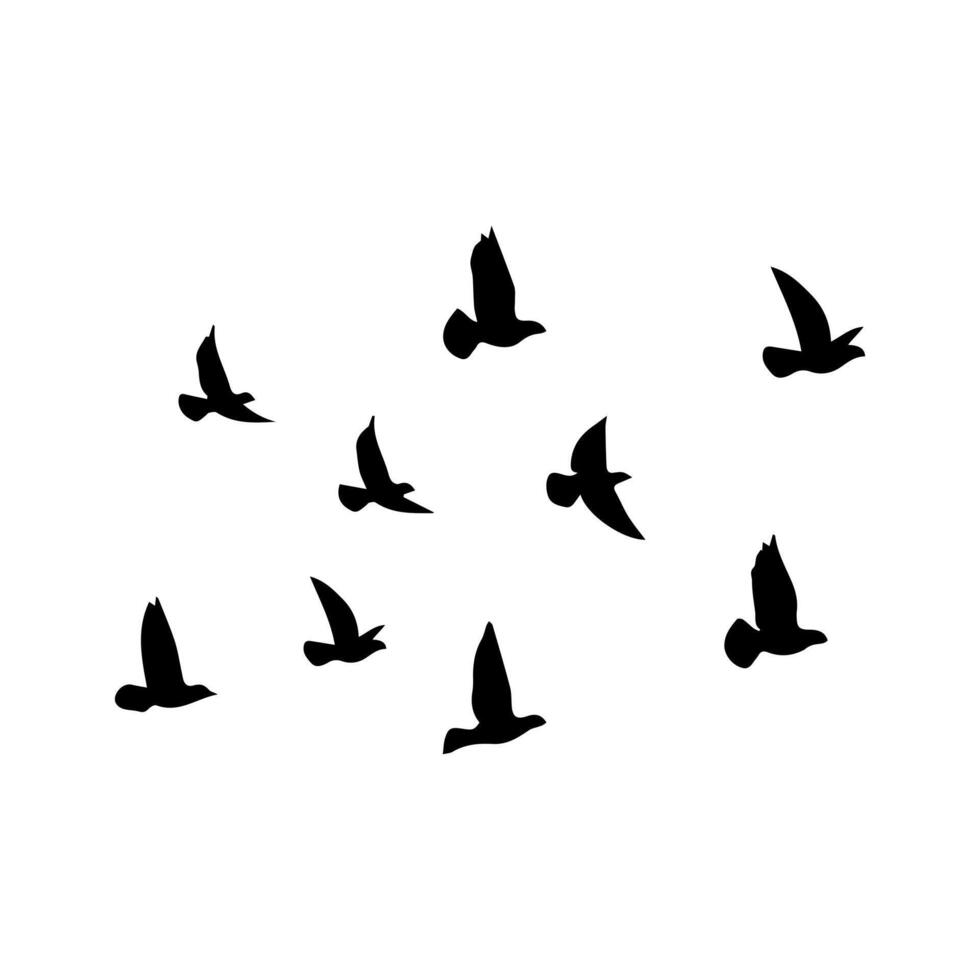 silhouette of a flock of birds illustration on a white background. vector