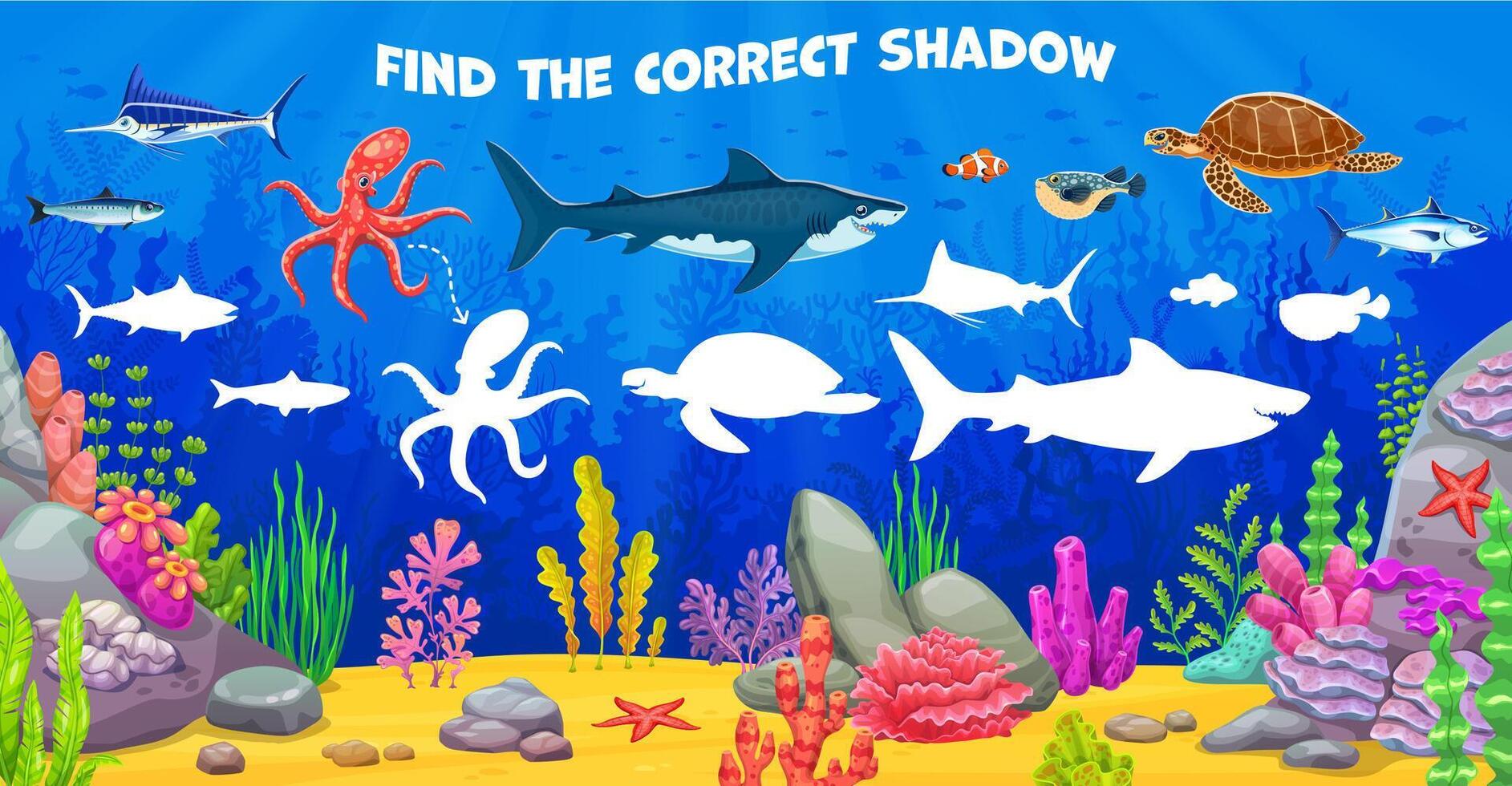 Find correct shadow game, underwater sea animals vector