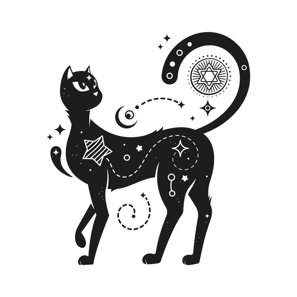 Black magic cat, witch animal with mystic boho art vector