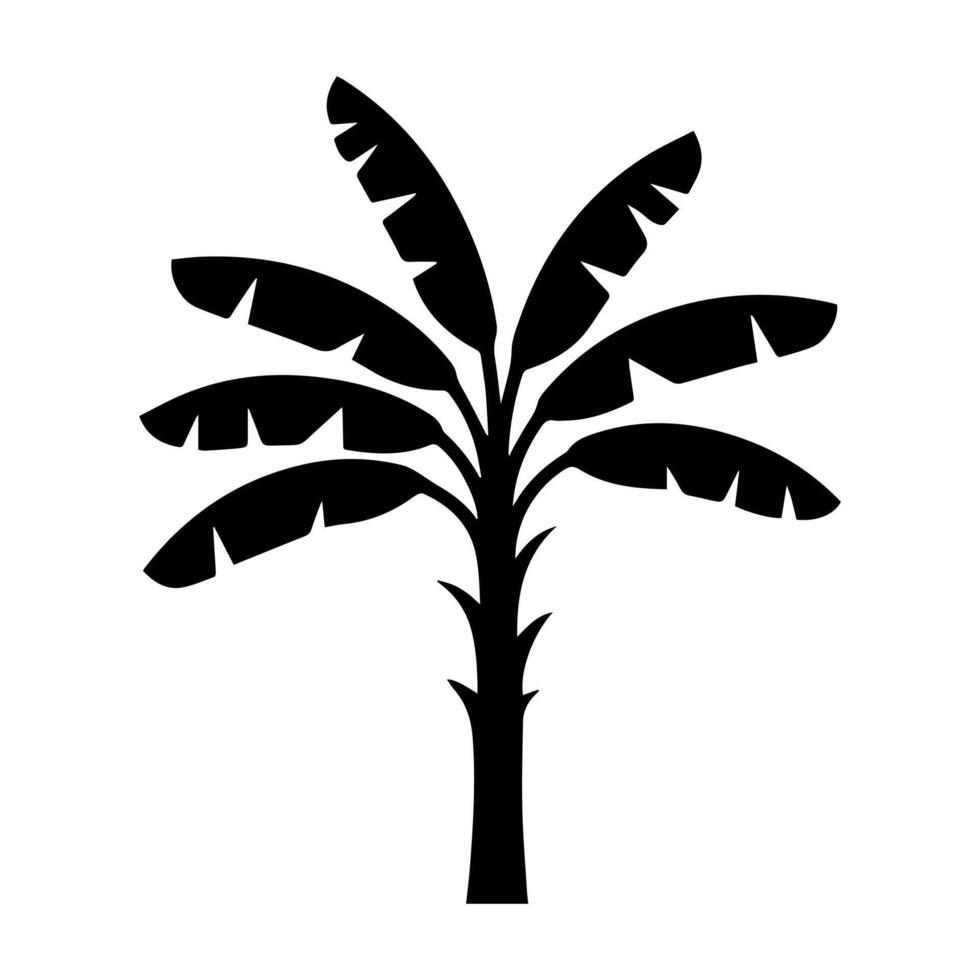 Banana tree silhouette , vector