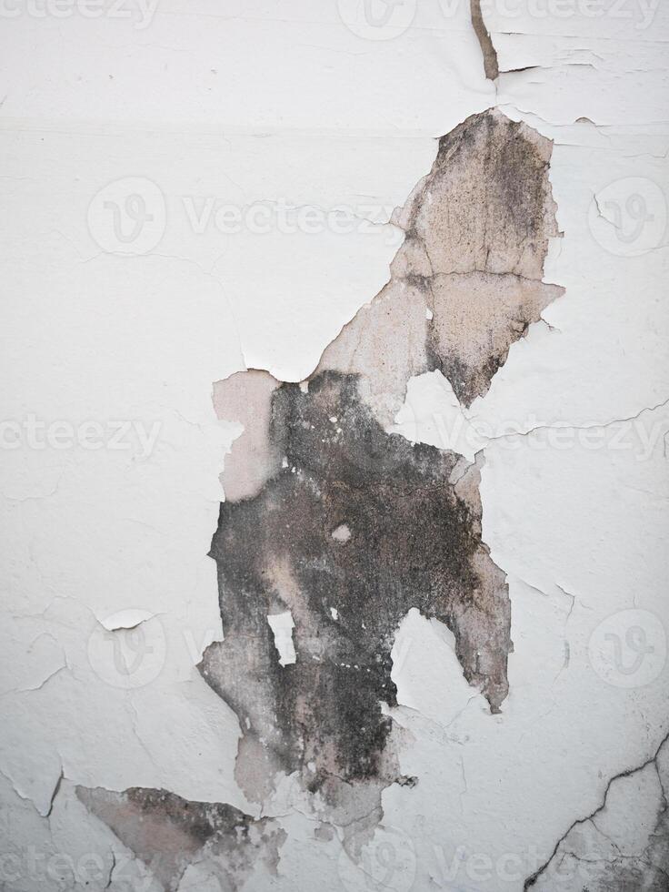 Water damage restoration process abandoned building visual documentation urban environment close-up view structural integrity analysis photo