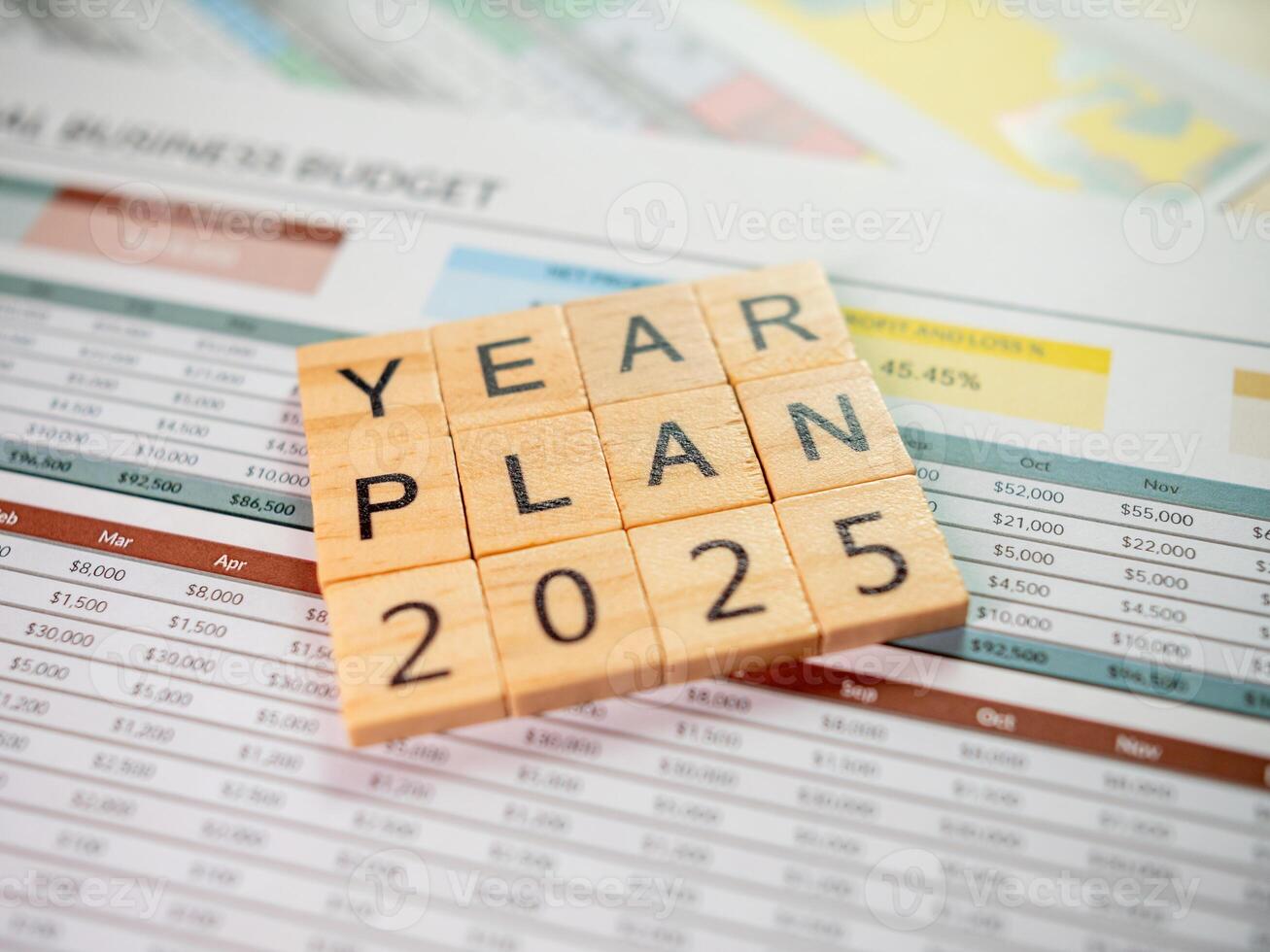 2025 business plan overview strategic budgeting insights for future growth photo