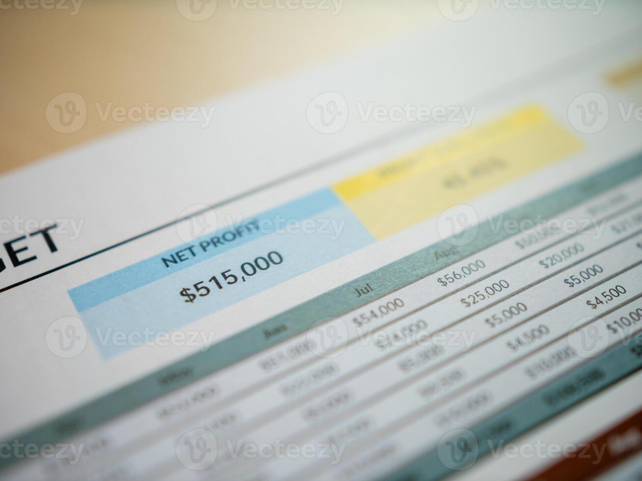 Business financial overview office environment document analysis profit report detailed insights photo